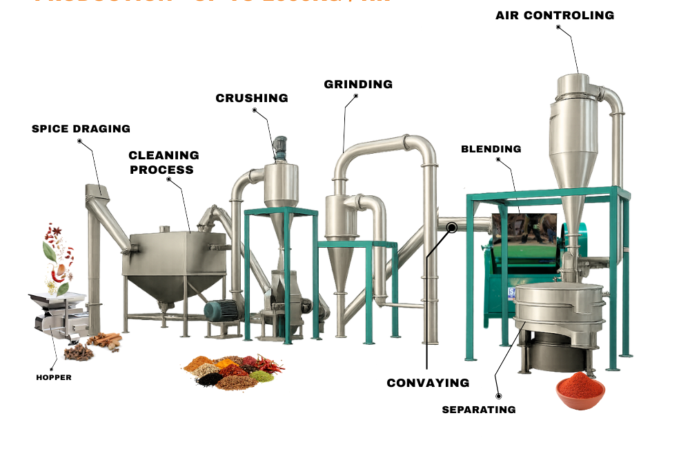 From Farm to Export: The Factory Cleaning Process of Red Chili